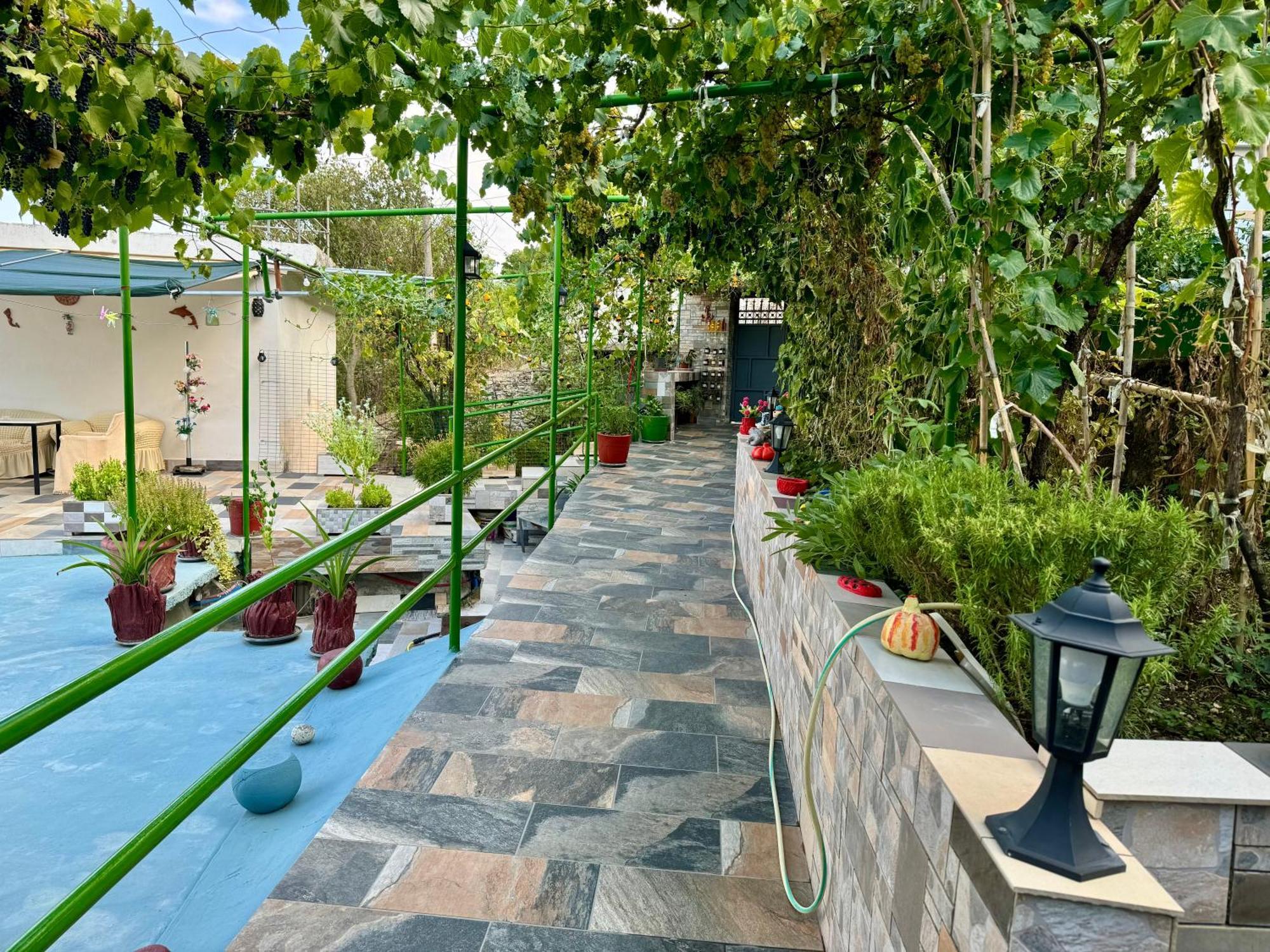 Panoramic View Guest House Gjirokastër Eksteriør billede